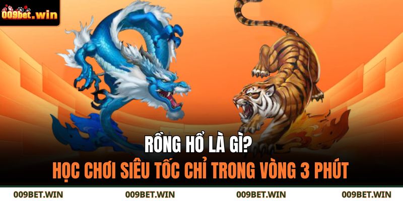 Rồng Hổ là gì